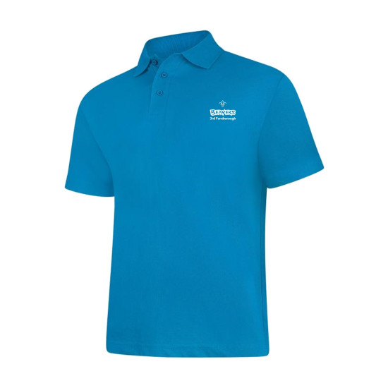 3rd Farnborough Leader Beaver Polo