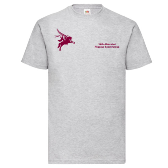 14th Aldershot Adult T Shirt