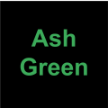 Ash Green Scouts